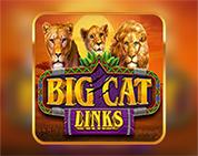 Big Cat Links